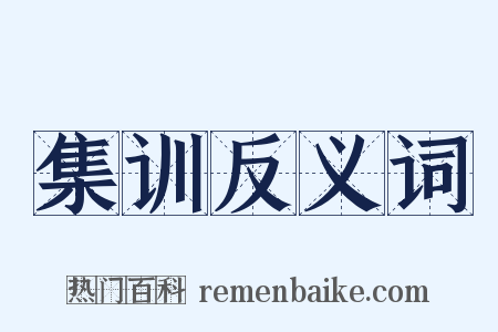 集训反义词是什么意思的图片